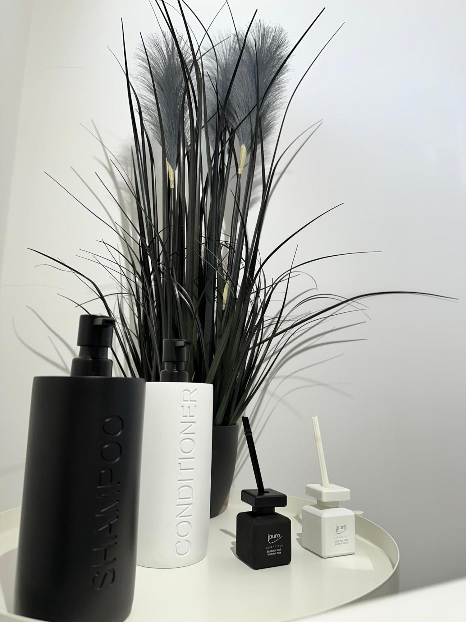 Black White Apartment